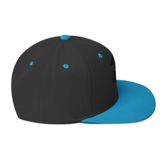 Snapback Hat - Image 21