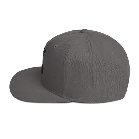 Snapback Hat - Image 51