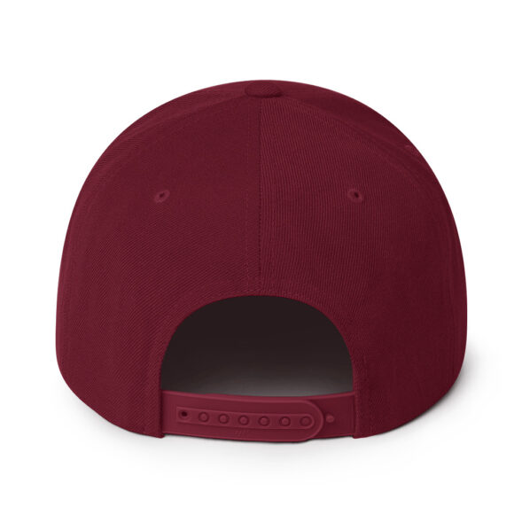 Snapback Hat - Image 27