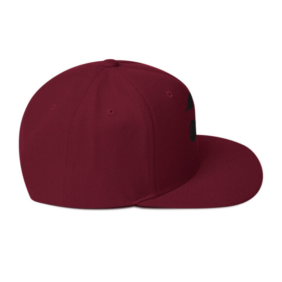 Snapback Hat - Image 29