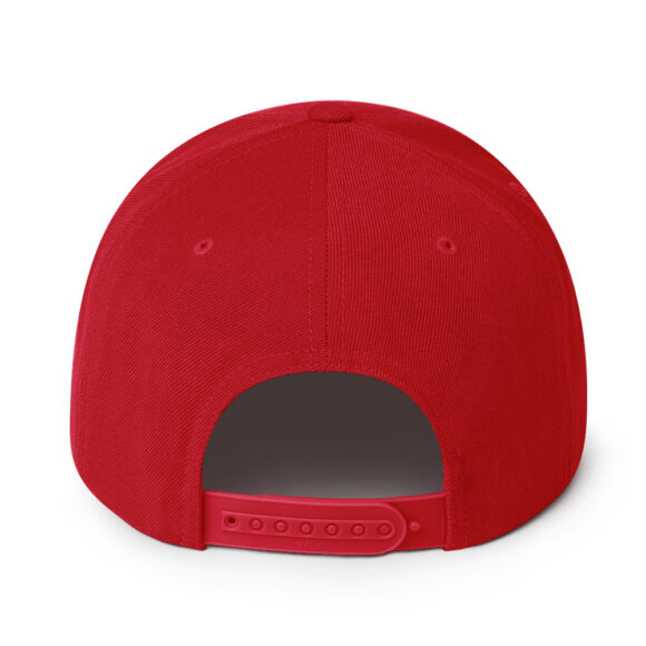 Snapback Hat - Image 43