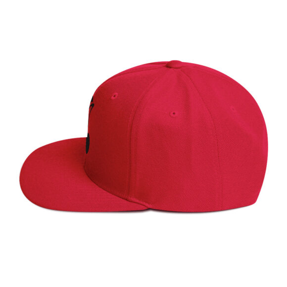 Snapback Hat - Image 44