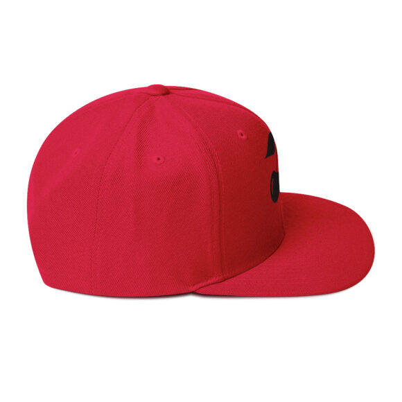 Snapback Hat - Image 45