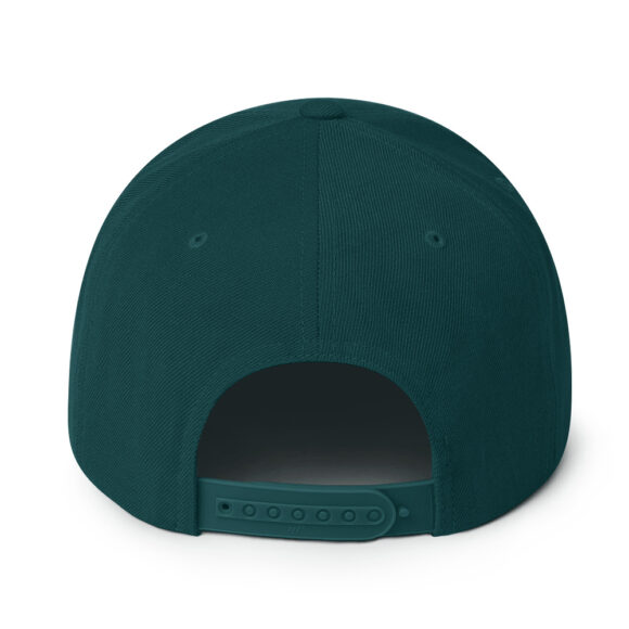 Snapback Hat - Image 39