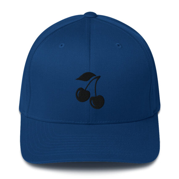 Structured Twill Cap - Image 14