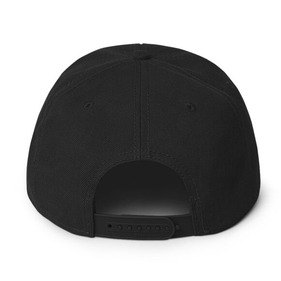 Snapback Hat - Image 2