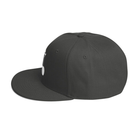 Snapback Hat - Image 39