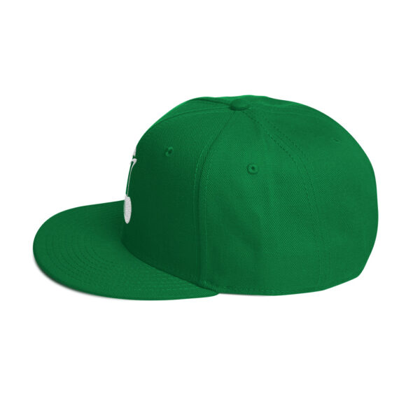 Snapback Hat - Image 43