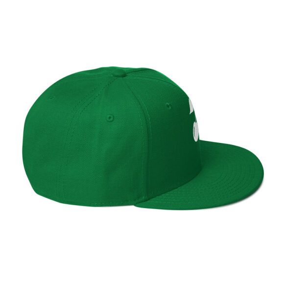 Snapback Hat - Image 44