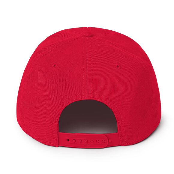 Snapback Hat - Image 30