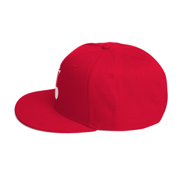 Snapback Hat - Image 31