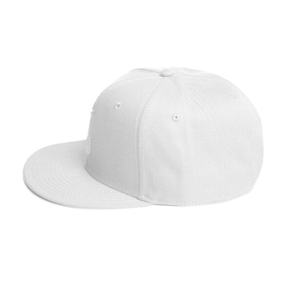 Snapback Hat - Image 51