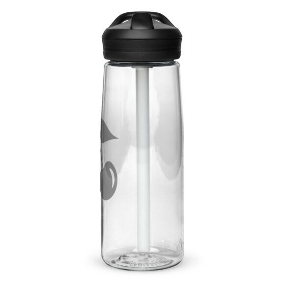 Sports water bottle